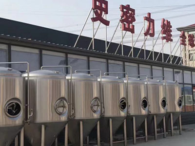 凤台精酿啤酒设备厂—如何判断精酿啤酒设备的密封件需要更换？
